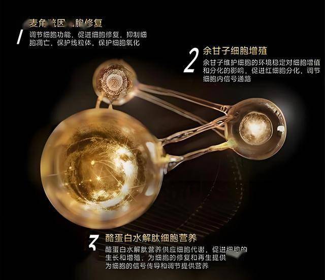 wetrade众汇官网2020端午节手抄报一等奖作品 端午节手抄报文字素材简短